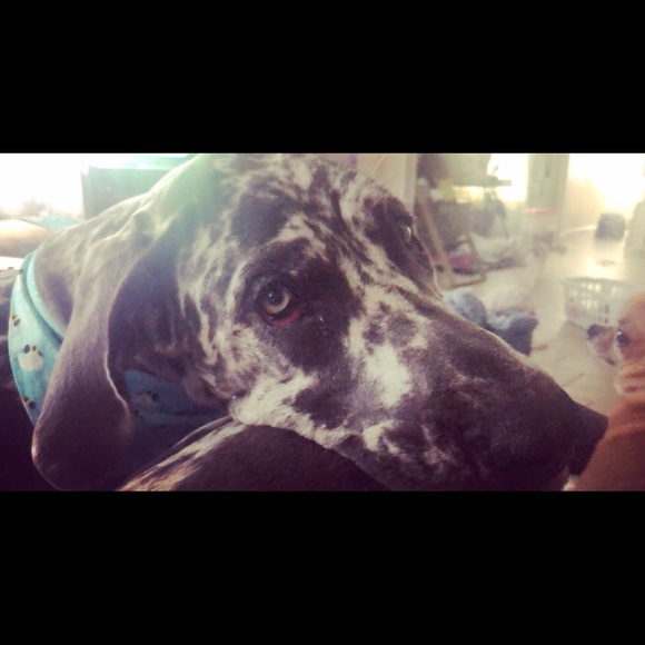 My baby needs surgery! - Picture 9 of 10